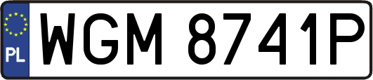 WGM8741P