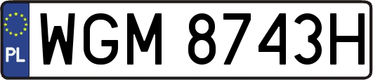 WGM8743H