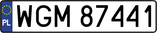 WGM87441