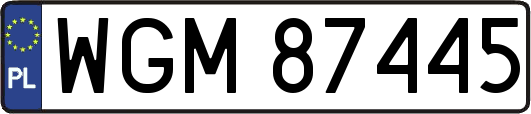 WGM87445