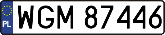 WGM87446