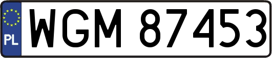 WGM87453