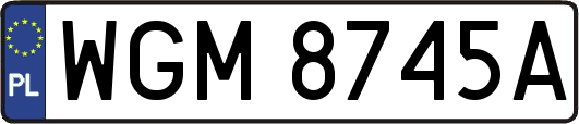 WGM8745A