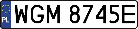 WGM8745E
