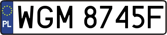 WGM8745F