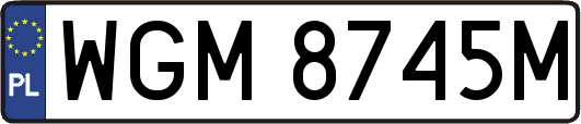 WGM8745M