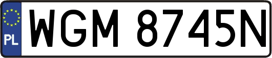 WGM8745N