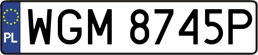 WGM8745P