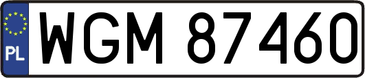 WGM87460