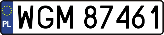 WGM87461