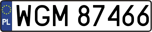 WGM87466