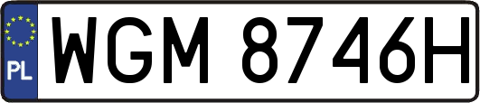 WGM8746H