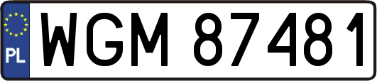 WGM87481