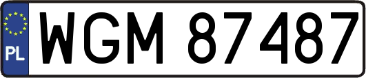 WGM87487