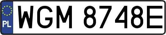 WGM8748E