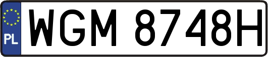 WGM8748H