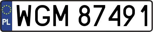 WGM87491