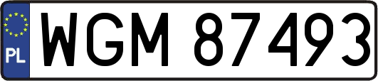 WGM87493