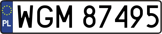 WGM87495