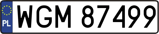 WGM87499