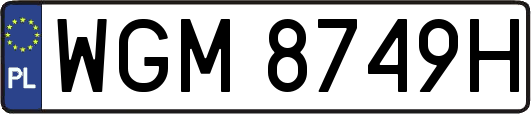 WGM8749H