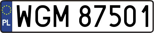 WGM87501