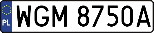 WGM8750A