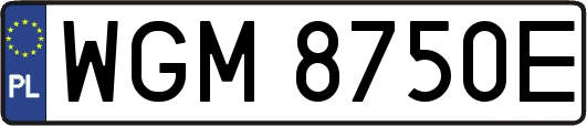 WGM8750E