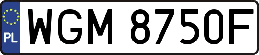WGM8750F