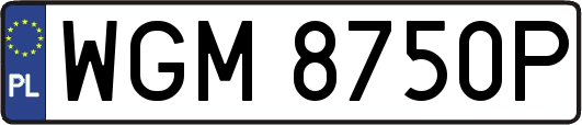 WGM8750P