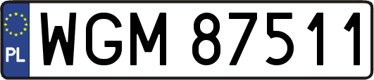 WGM87511
