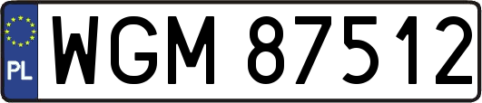 WGM87512