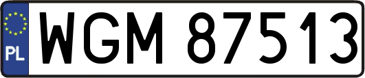 WGM87513