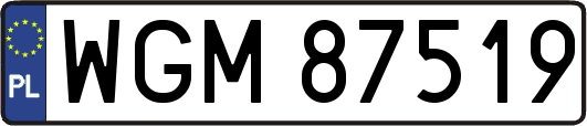 WGM87519