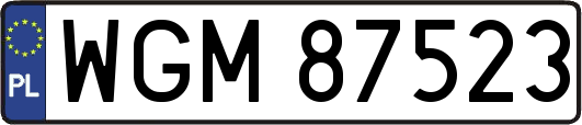 WGM87523
