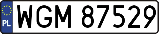 WGM87529