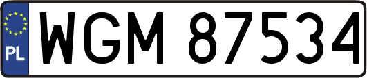 WGM87534