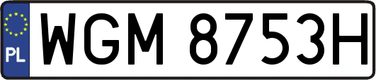WGM8753H
