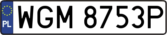 WGM8753P
