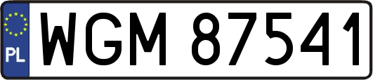 WGM87541