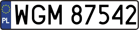WGM87542