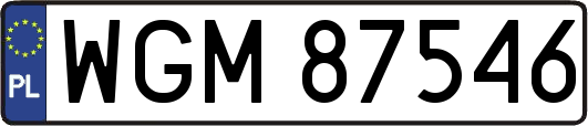 WGM87546