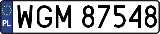 WGM87548