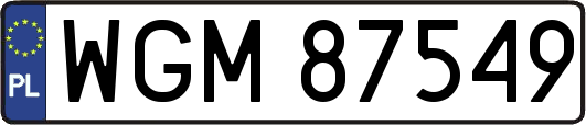 WGM87549