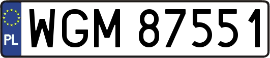 WGM87551