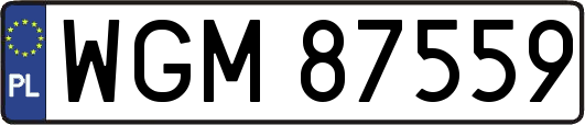 WGM87559
