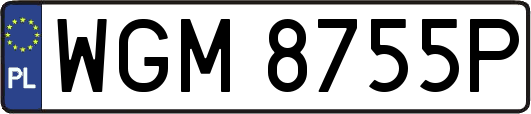 WGM8755P