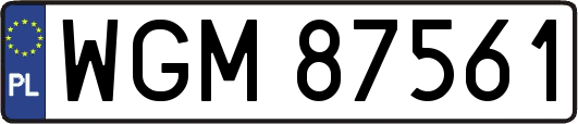 WGM87561