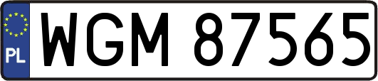 WGM87565
