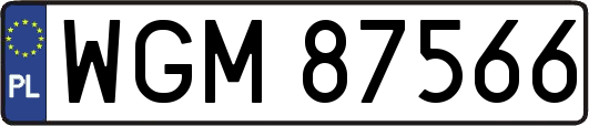 WGM87566
